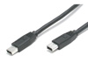 Firewire Cables and Adapters
