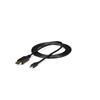 6 ft Mini DisplayPort to DisplayPort 1.2 Adapter Cable M/M - DisplayPort 4k